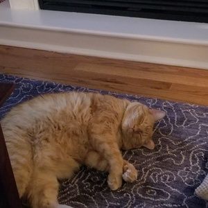 Meet your Posher, Kimberly